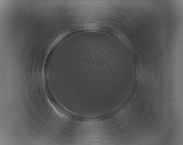 X0000062800674200512290249