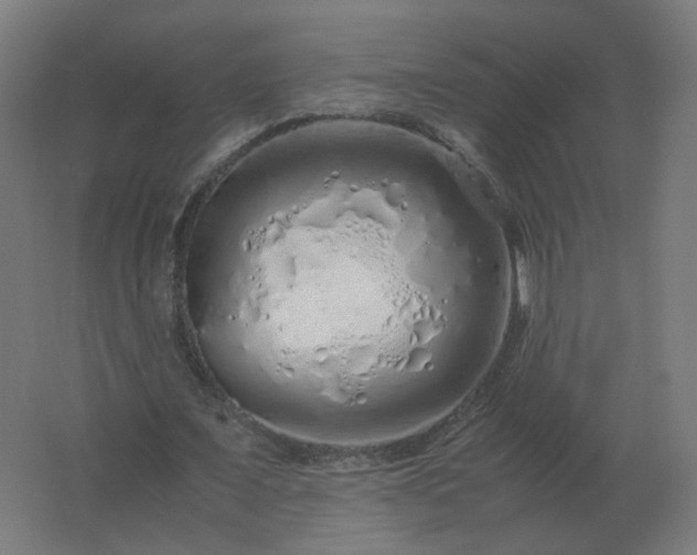 X0000062800675200512290249