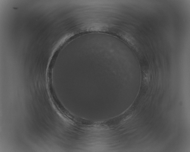 X0000062800678200512290249