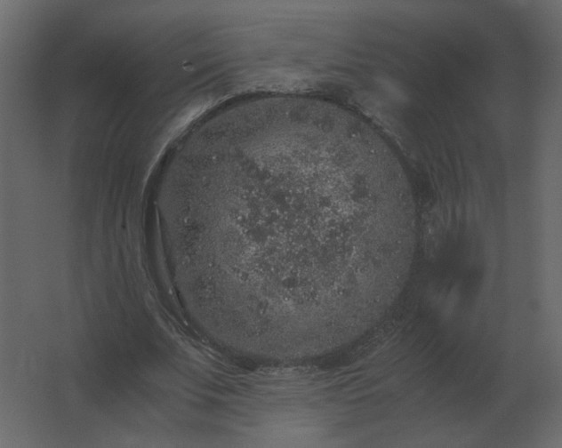 X0000062800679200512290249