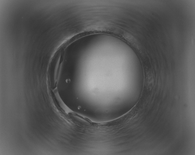 X0000062800680200512290249