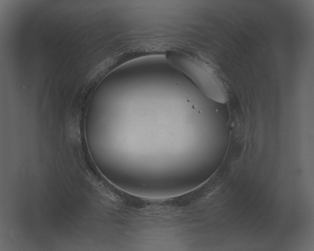 X0000062800681200512290249