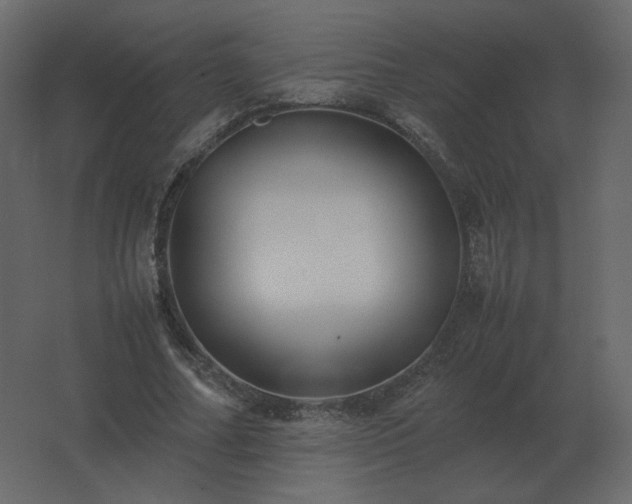 X0000062800682200512290249