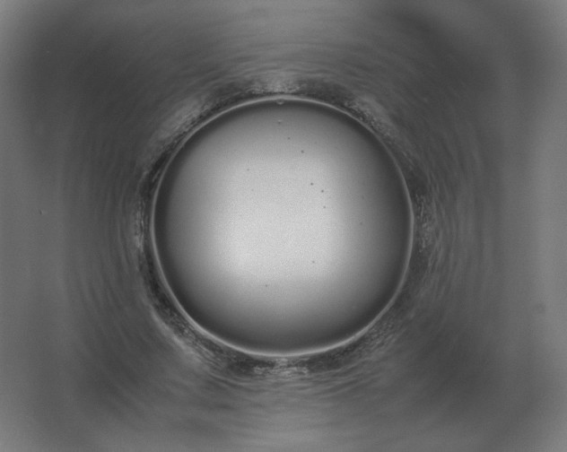 X0000062800683200512290249