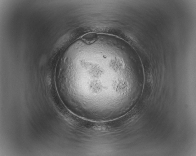 X0000062800687200512290249