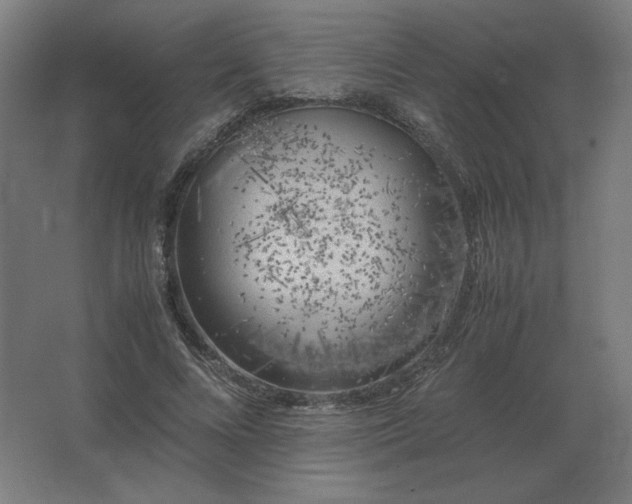 X0000062800688200512290249