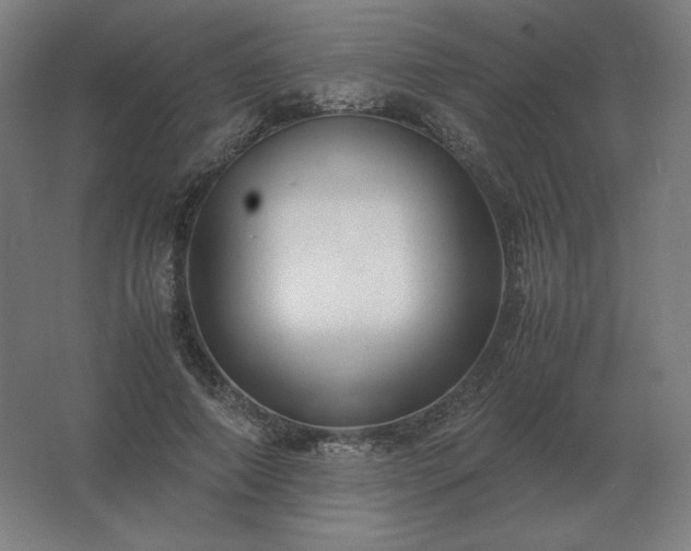 X0000062800690200512290249