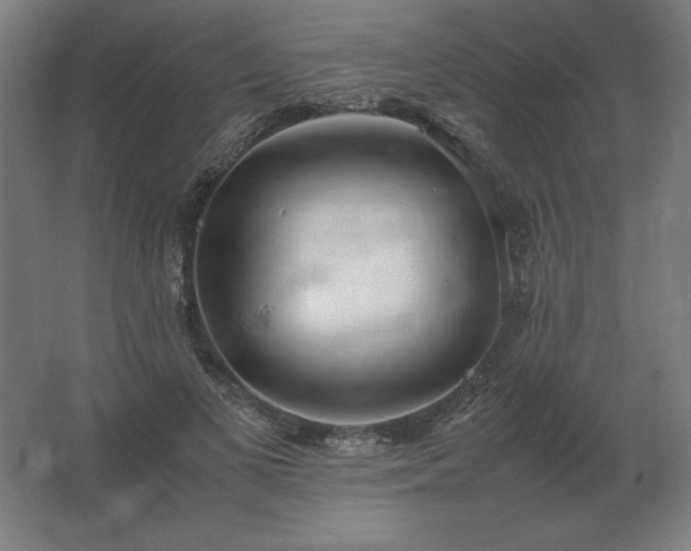 X0000062800693200512290249