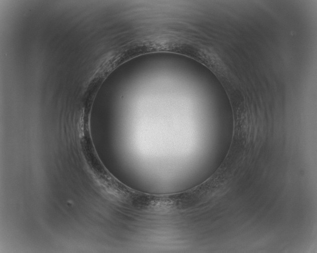 X0000062800694200512290249
