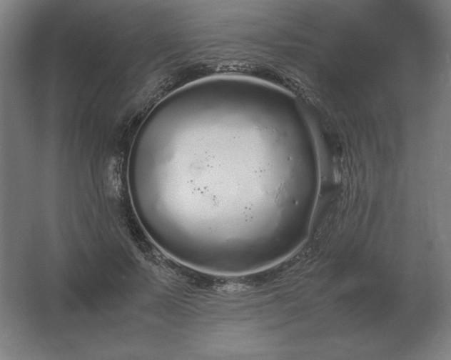 X0000062800695200512290249