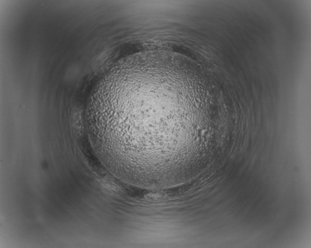 X0000062800699200512290249