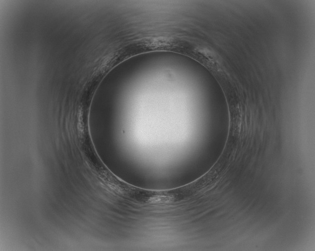 X0000062800700200512290249