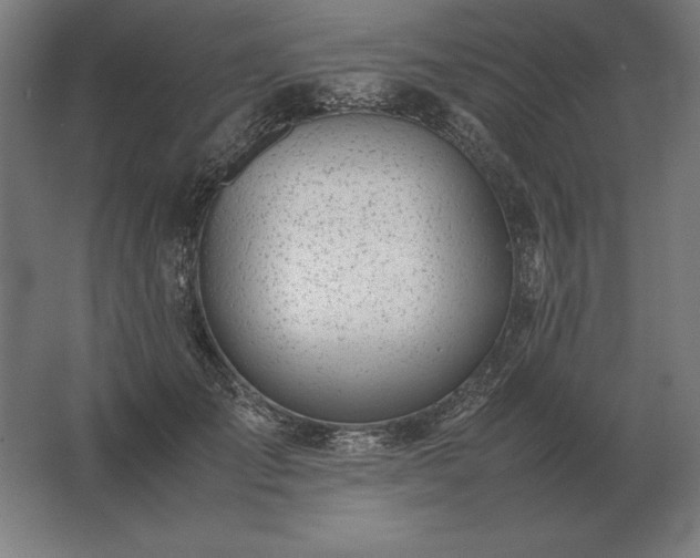 X0000062800701200512290249
