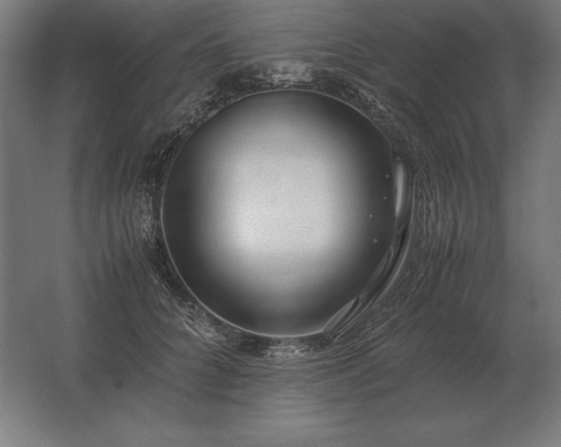 X0000062800704200512290249