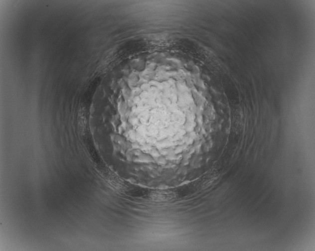 X0000062800707200512290249