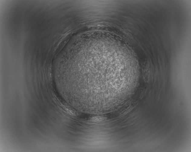 X0000062800708200512290248