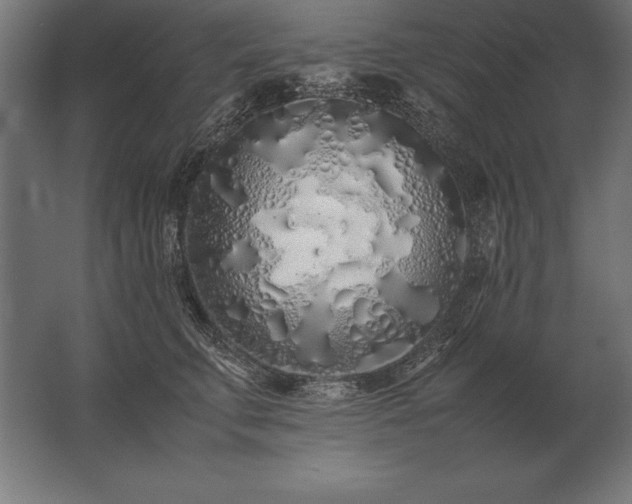 X0000062800711200512290248
