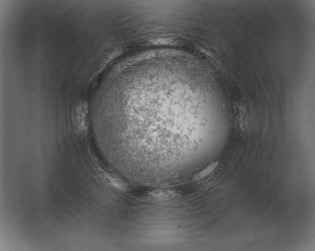 X0000062800712200512290248