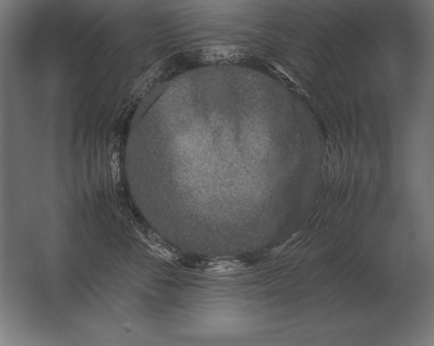 X0000062800716200512290248