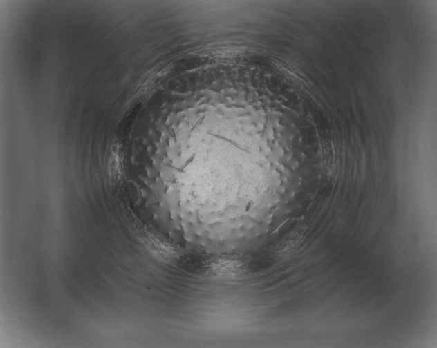 X0000062800718200512290248