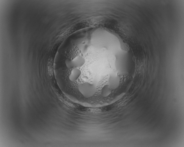 X0000062800719200512290248