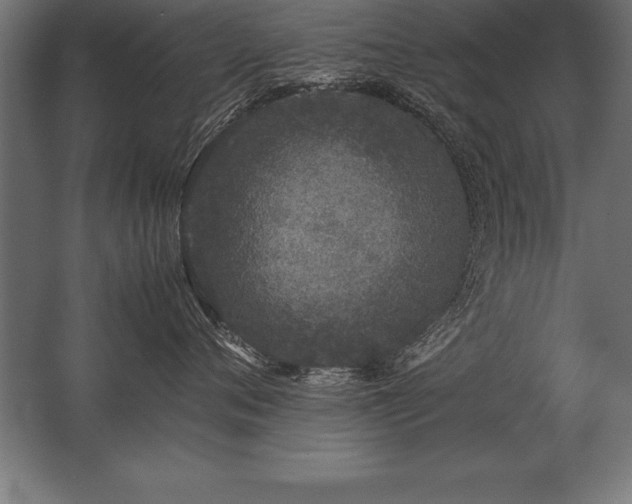 X0000062800720200512290248