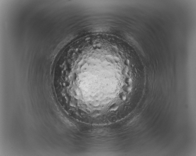 X0000062800721200512290247