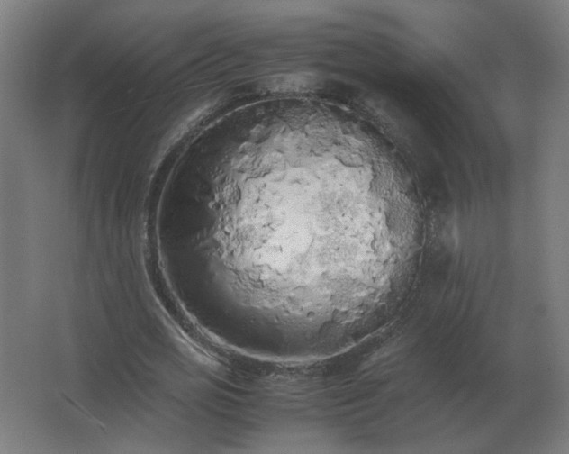 X0000062800725200512290248