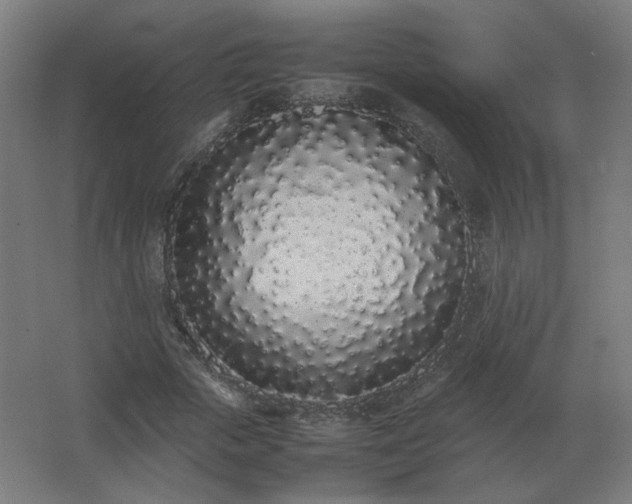 X0000062800729200512290248