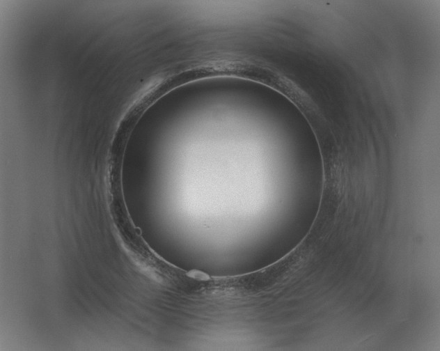X0000062800730200512290248