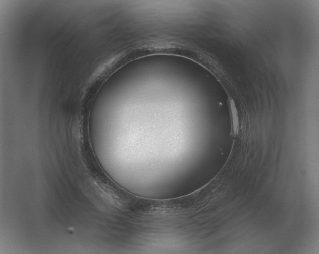 X0000062800732200512290248