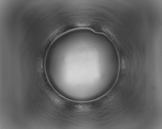 X0000062800733200512290248