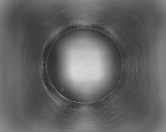 X0000062800736200512290248