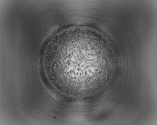 X0000062800738200512290248