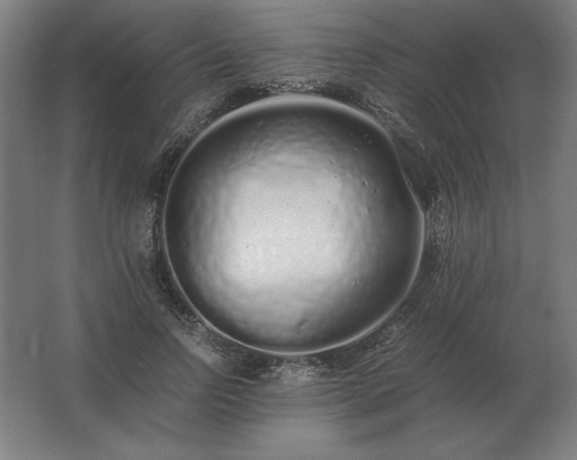 X0000062800742200512290248