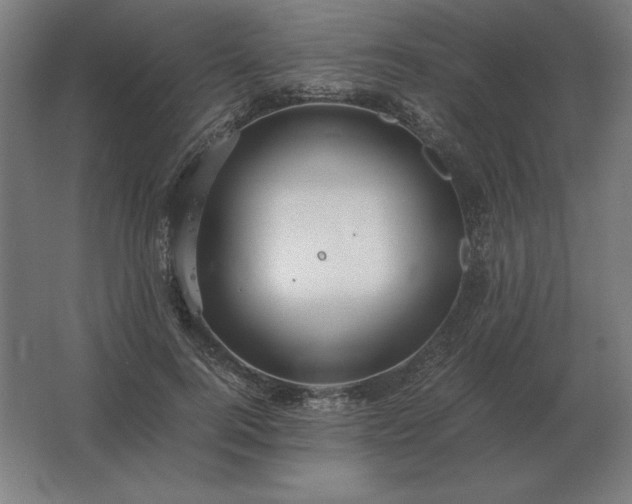 X0000062800744200512290248