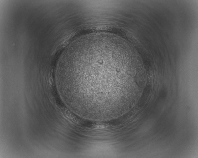 X0000062800746200512290248