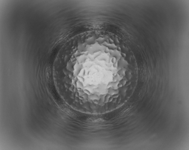 X0000062800747200512290248