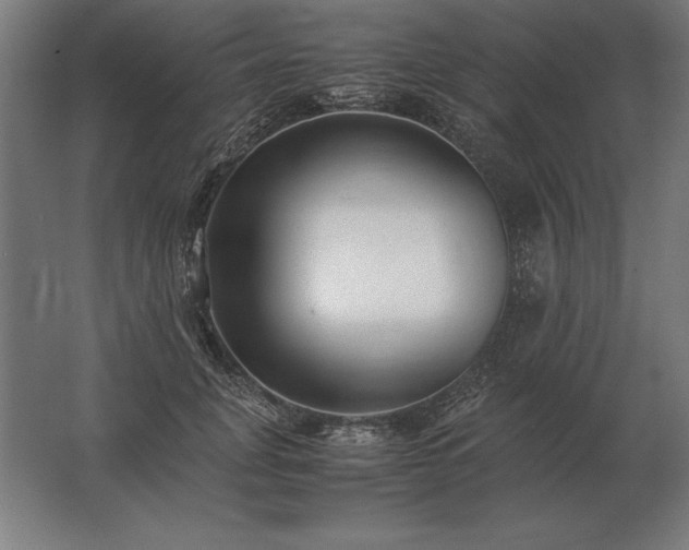 X0000062800751200512290248
