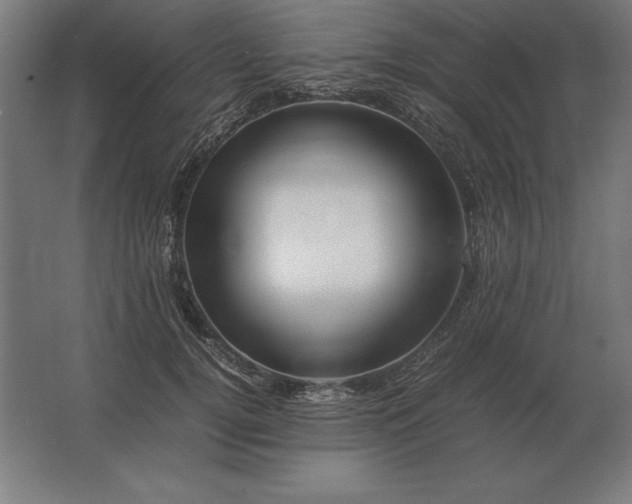 X0000062800752200512290248