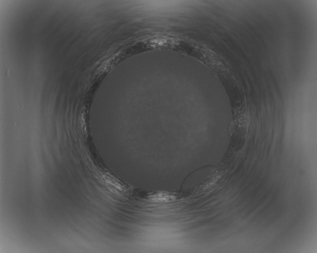 X0000062800754200512290248