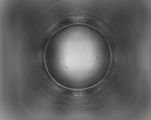 X0000062800757200512290248