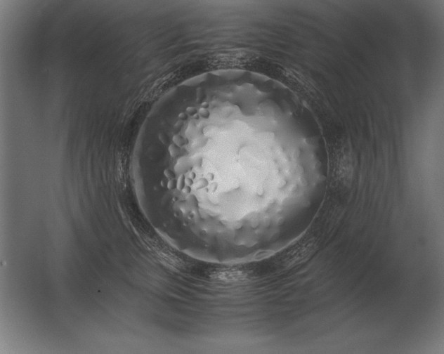 X0000062800759200512290248