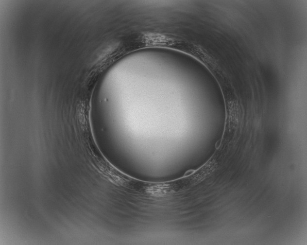 X0000062800761200512290248