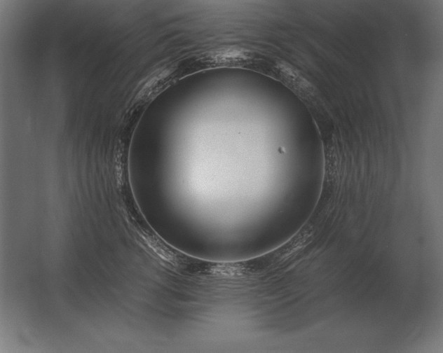 X0000062800762200512290248
