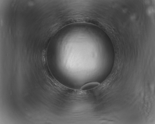 X0000062800768200512290248