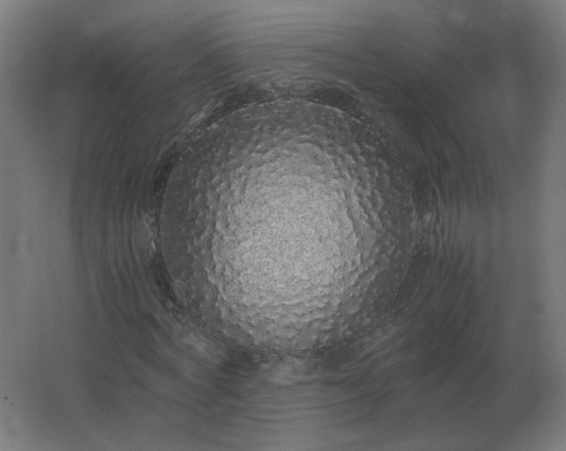 X0000062800772200512290247