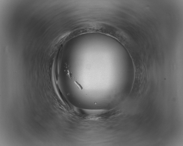 X0000062800773200512290247