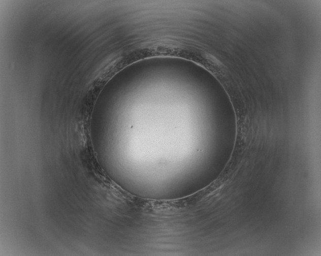 X0000062800774200512290247