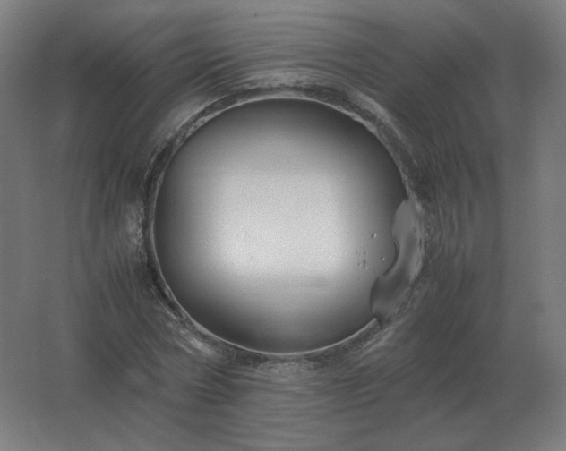 X0000062800778200512290247
